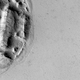 Image for article titled What Is This Strangely Circular Outcrop on Mars?